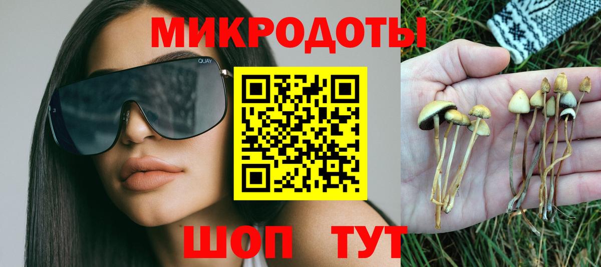 Псилоцибиновые грибы ЛСД Гай