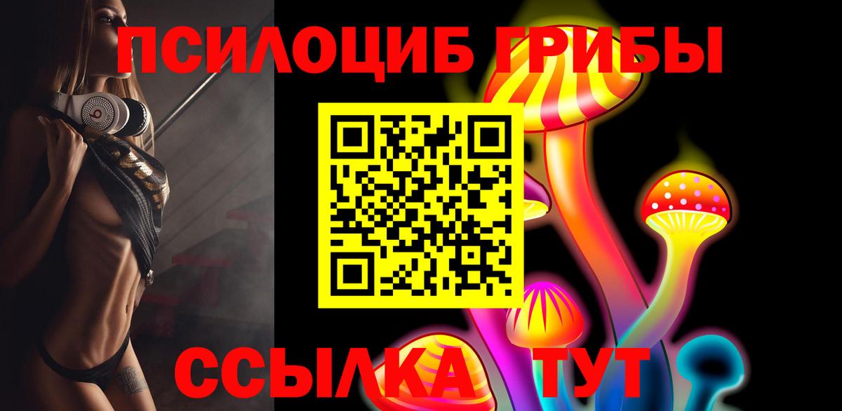 Гай  Галлюциногенные грибы Cubensis  Вход с VPN 